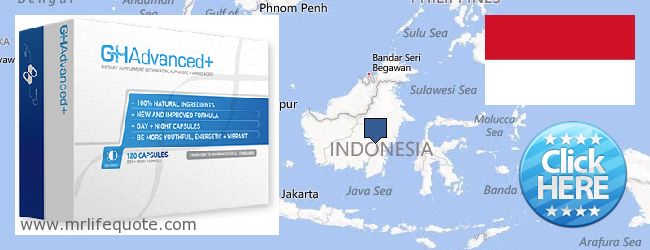 Dónde comprar Growth Hormone en linea Indonesia